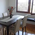 Zelena Meraja * Sarajevo
