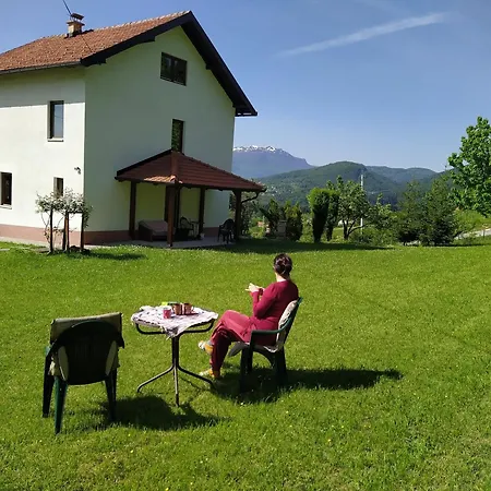 Zelena Meraja * 塞拉耶佛