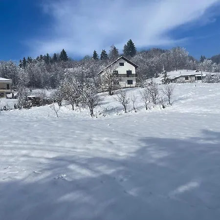 Zelena Meraja * 塞拉耶佛